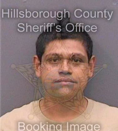 Vidal Rogelio - Hillsborough County, FL 