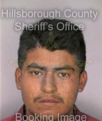 Vasquezsantiago Carmelo - Hillsborough County, FL 