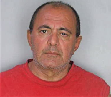Shirmohammad Iradj - Hillsborough County, FL 