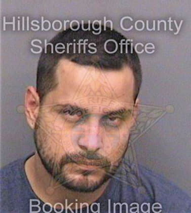 Martinez Kisleb - Hillsborough County, FL 