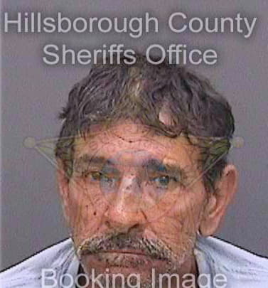 Doerr Daniel - Hillsborough County, FL 