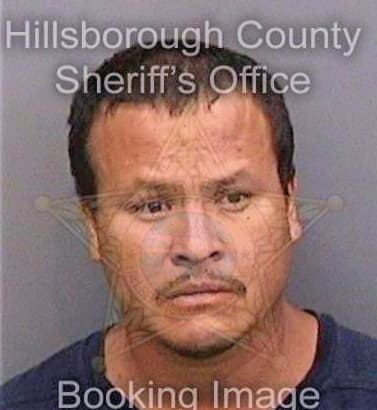 Sanchez Hector - Hillsborough County, FL 