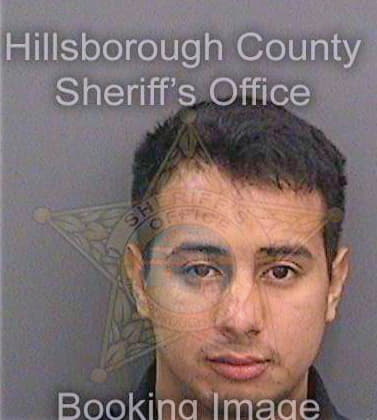 Reyna Richard - Hillsborough County, FL 