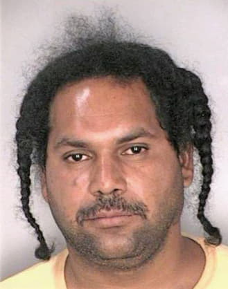 Mcdonald Bertram - Hillsborough County, FL 