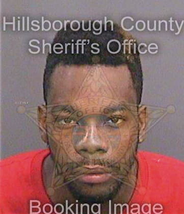 Stephens Maurice - Hillsborough County, FL 