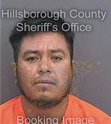 Hernandezhernandez Jonathan - Hillsborough County, FL 