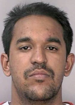 Mcdaniel Ryan - Hillsborough County, FL 