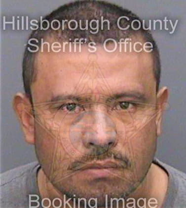 Pasquier Edgard - Hillsborough County, FL 