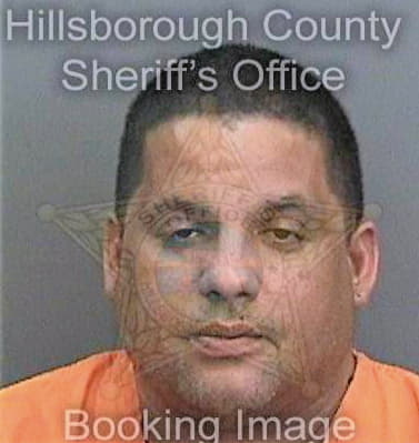 Ramireztorres Fernando - Hillsborough County, FL 