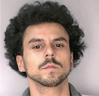 Mcnally Eduardo - Hillsborough County, FL 
