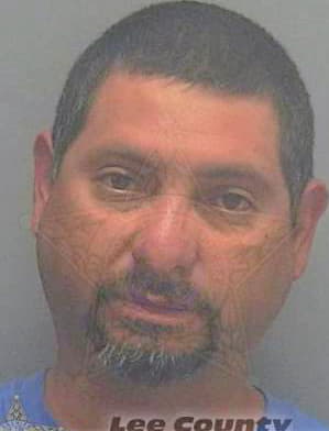 Hernandez Jesus - Lee County, FL 