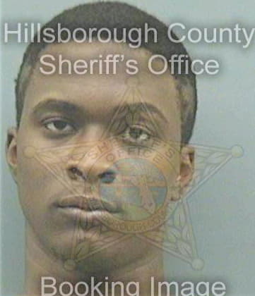 Bizzell Scott - Hillsborough County, FL 