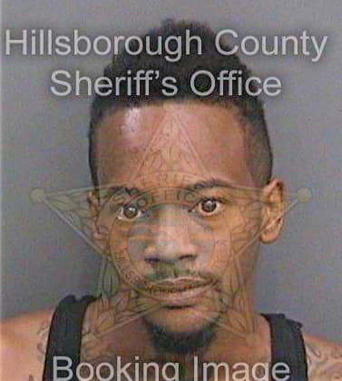 Mcduffie Alphonso - Hillsborough County, FL 