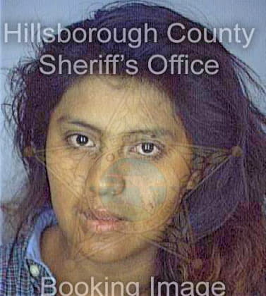 Hernandez Patricia - Hillsborough County, FL 