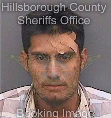 Bartolowperez Reynaldo - Hillsborough County, FL 