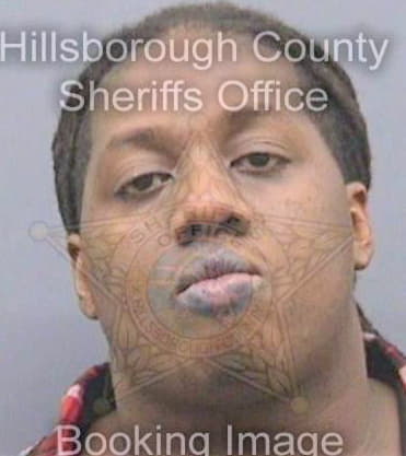 Mcfadden Rogers - Hillsborough County, FL 