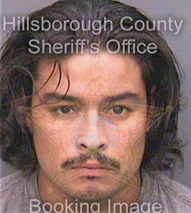 Saucedomerida Jose - Hillsborough County, FL 