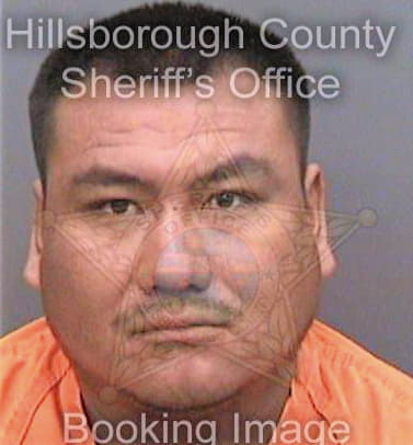 Casiopelcastre Gerardo - Hillsborough County, FL 