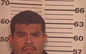 Hernandez Orlando - Hidalgo County, TX 