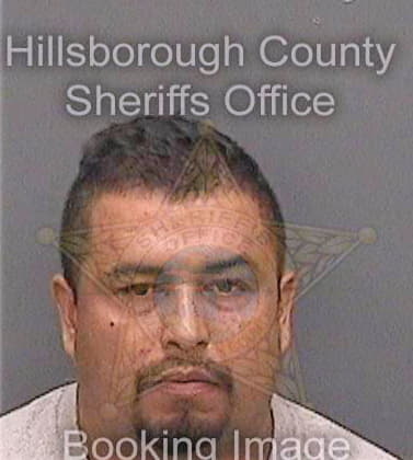 Erreguin Gregorio - Hillsborough County, FL 