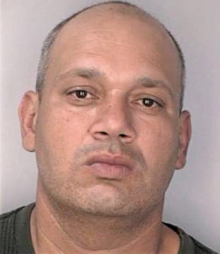 Mirabal Israel - Hillsborough County, FL 