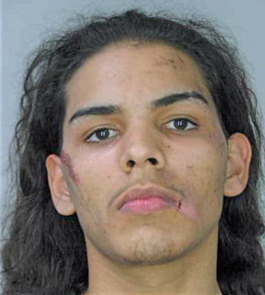 Melendez Andrew - Hillsborough County, FL 
