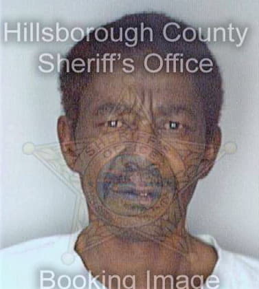 Simpson Sidney - Hillsborough County, FL 