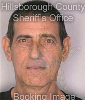 Beltran Silvestre - Hillsborough County, FL 