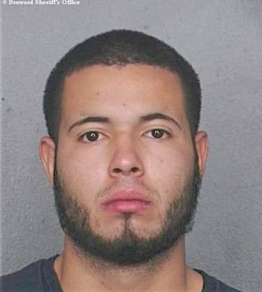 Mikelstein Yonathan - Broward County, FL 