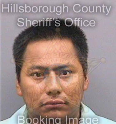 Lopezvazquez Gilberto - Hillsborough County, FL 