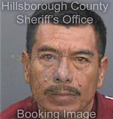 Gregorio-Antunez Carmelo - Hillsborough County, FL 