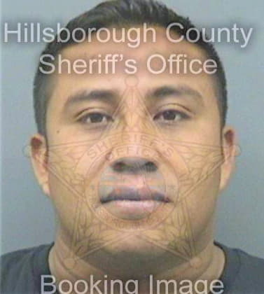 Velazquez Esteban - Hillsborough County, FL 