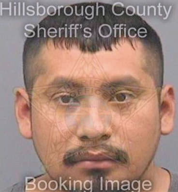 Martin Roberto - Hillsborough County, FL 