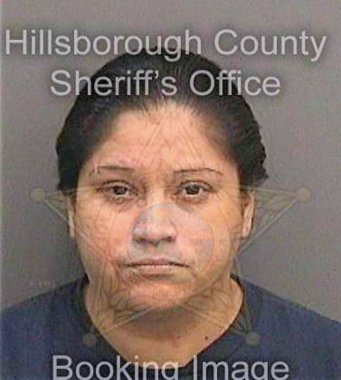 Martinez Brenda - Hillsborough County, FL 