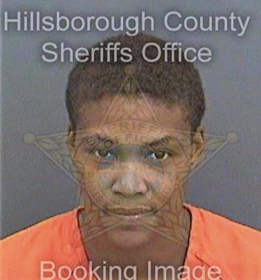 Davenport Nikida - Hillsborough County, FL 