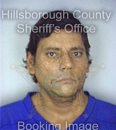 Negron Carlos - Hillsborough County, FL 