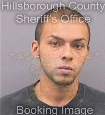 Martinez Jiovani - Hillsborough County, FL 