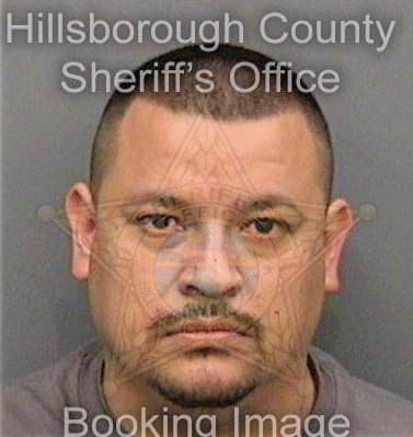 Ramirez Cesar - Hillsborough County, FL 