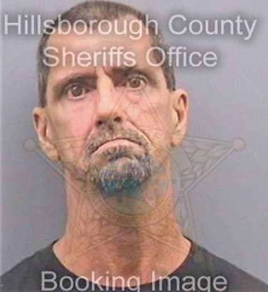 Walsh Patrick - Hillsborough County, FL 