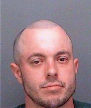 Depaolo Steven - Pinellas County, FL 