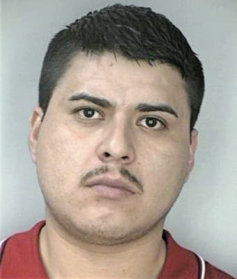 Lopezdeleon Jose - Hillsborough County, FL 