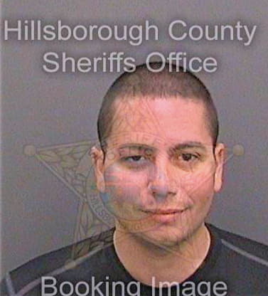 Carballo Joseph - Hillsborough County, FL 