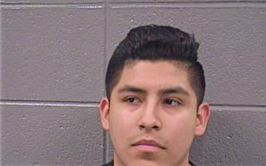 Arriola-Fiscal Luis - Cook County, IL 