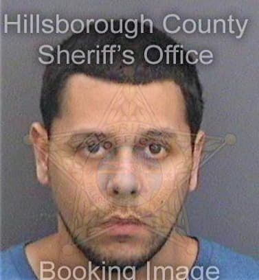 Martinez Antonio - Hillsborough County, FL 