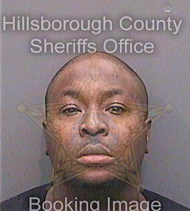 Mitchell Julian - Hillsborough County, FL 