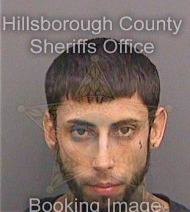 Trujillo Dillon - Hillsborough County, FL 