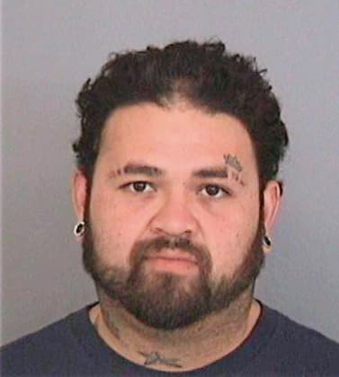 Meza Hector - Hillsborough County, FL 