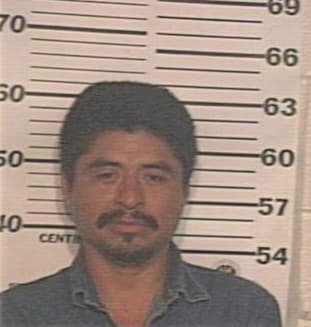 Hernandez Domingo - Hidalgo County, TX 