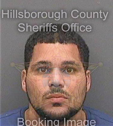 Garcia Rafael - Hillsborough County, FL 