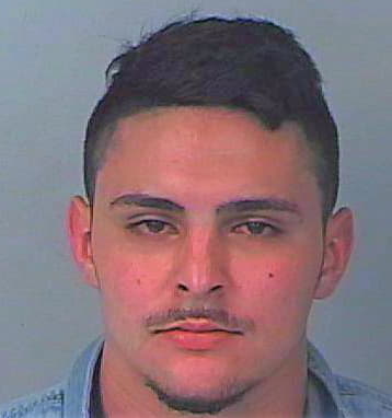 Ruiz Argelio - Hernando County, FL 